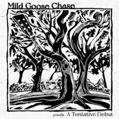 Mild Goose Chase - 8th of January