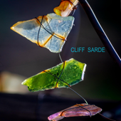 We Won't Fade Away - Cliff Sarde