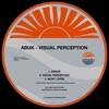 Visual Perception - Single
