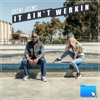 It Ain't Werkin - Single