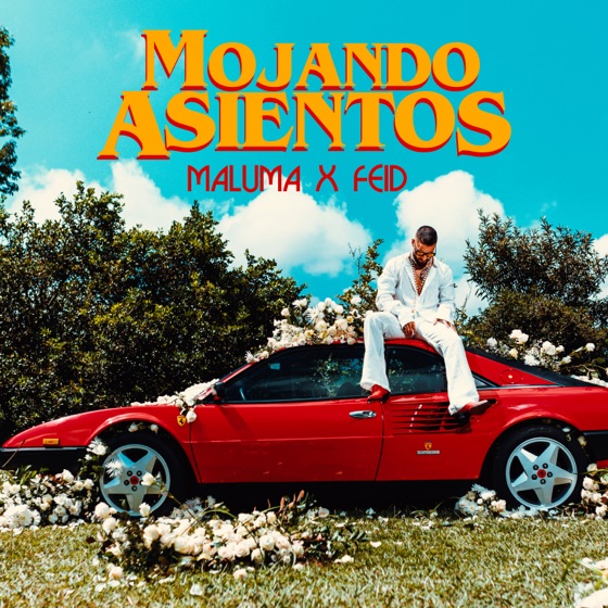 Cover artwork for Mojando Asientos (feat. Feid)