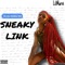 Sneaky Link - LIL MARVI lyrics