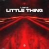 Little Thing - Single