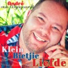 Klein Bietjie Liefde - Single