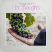 Terrace Martin - I Hate U