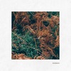 Caillebotis - Single