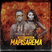 Mapisarema artwork