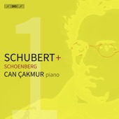 Schubert + Schoenberg artwork