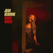 Joan Osborne - Shake Your Hips (WXPK 2012)