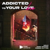 MRLN, Robbie Hutton - Addicted To Your Love