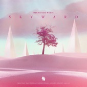 Skyward artwork
