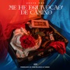 Me he equivocao' de camino - Single