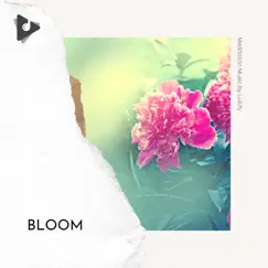 Bloom by Meditation Music by Lullify & Spa album reviews, ratings, credits