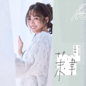 已經慣勢 (台視八點檔《美麗人生》片尾曲) artwork