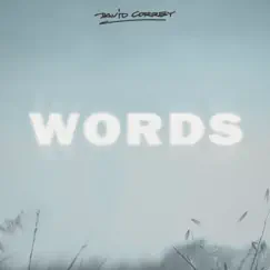 Words - Single by David Correy album reviews, ratings, credits
