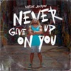 Never Give up on You - Single
