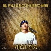 Vida Loca artwork