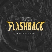 Flashback (En Forma 6) artwork