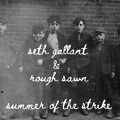 Seth Gallant - Summer of the Strike