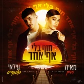 חוף בלי אף אחד artwork