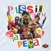 Passin Com a Peça - Single album lyrics, reviews, download