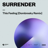 This Feeling (Dombresky Remix) artwork