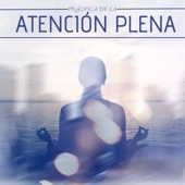 Práctica de la Atención Plena - Curación del Espíritu con Música Profunda para Meditación y Concentración Total artwork