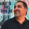 Wat Ik Voel Voor Jou - Single