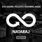 Nataraj (Tech Edit) [feat. Ira Ange] - Ilya Gushin & Folgatto lyrics