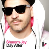 Day After (Original Mix) artwork