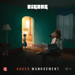Anger Management by Big Bag album reviews, ratings, credits