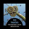 111 Tracks for Instant Calm Meditation – Personal Well-Being, Zen Evolution Healing, Peace Around You, Awaken Intuition and Keep Calm album lyrics, reviews, download