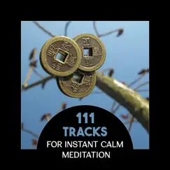 111 Tracks for Instant Calm Meditation – Personal Well-Being, Zen Evolution Healing, Peace Around You, Awaken Intuition and Keep Calm by Great Meditation Guru album reviews, ratings, credits