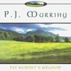 Pat Murphy's Meadow