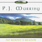 P.J. Murrihy - Green Hills of Clare