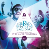 Pure Salinas, Vol. 8 (Compiled by DJ Zappi) [Lounge & Deep House Mixed] artwork