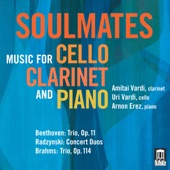 Soulmates: Music for Cello, Clarinet & Piano artwork