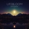 Universal Prayer - Lifebloom lyrics