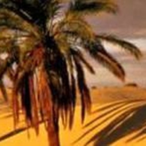 Programa Nº 19 - Me niego a...