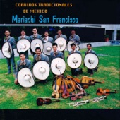 Mariachi San Francisco - Popurri de Caballos