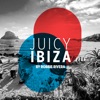 Juicy Beach - Ibiza 2017 (Selected by Robbie Rivera)