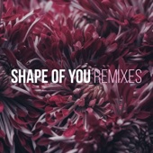 Shape of You (feat. Kaysha) [Reggaeton Remix] artwork