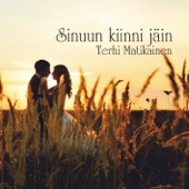 Sinuun kiinni jäin artwork