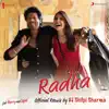 Radha (Official Remix by DJ Shilpi Sharma) [From "Jab Harry Met Sejal"] song lyrics