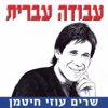 עבודה עברית - שרים עוזי חיטמן, 2010