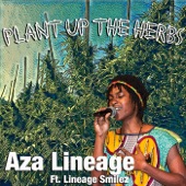 Plant up the Herbs (feat. Lineage Smilez) artwork
