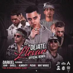 Déjate Llevar (Remix) [feat. Pusho, Miky Woodz, Almighty, Juhn & Darell] - Single - Almighty
