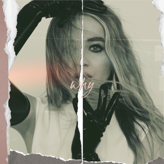 Cover artwork for Why