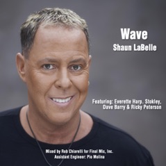Wave (feat. Everette Harp, Stokley, Ricky Peterson & Dave Barry) - Single