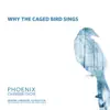 Why The Caged Bird Sings album lyrics, reviews, download